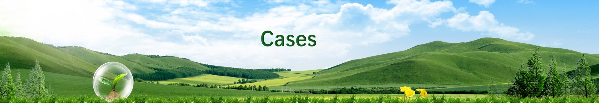 Cases